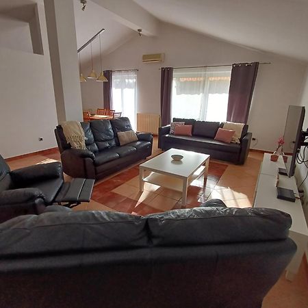 Apartman Debora Sa Privatnim Bazenom Pula Exteriér fotografie